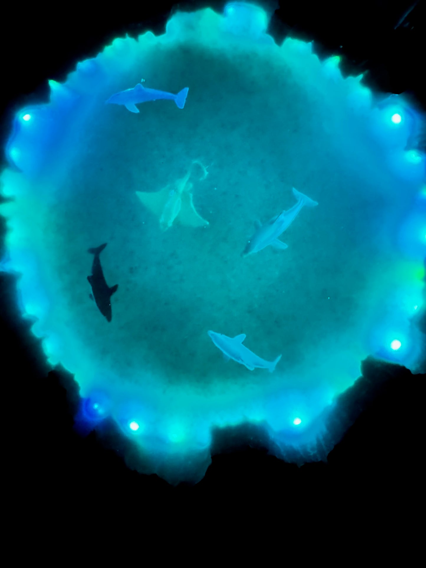 lighted ocean table